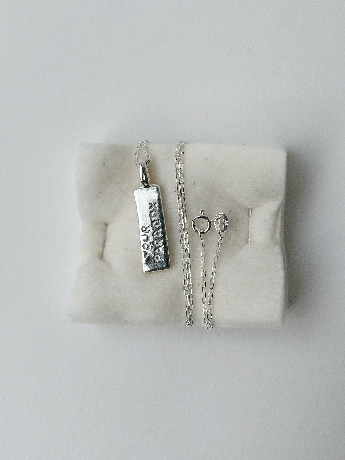 YOUR PARADOX IS MY PARADIGM – PENDANT